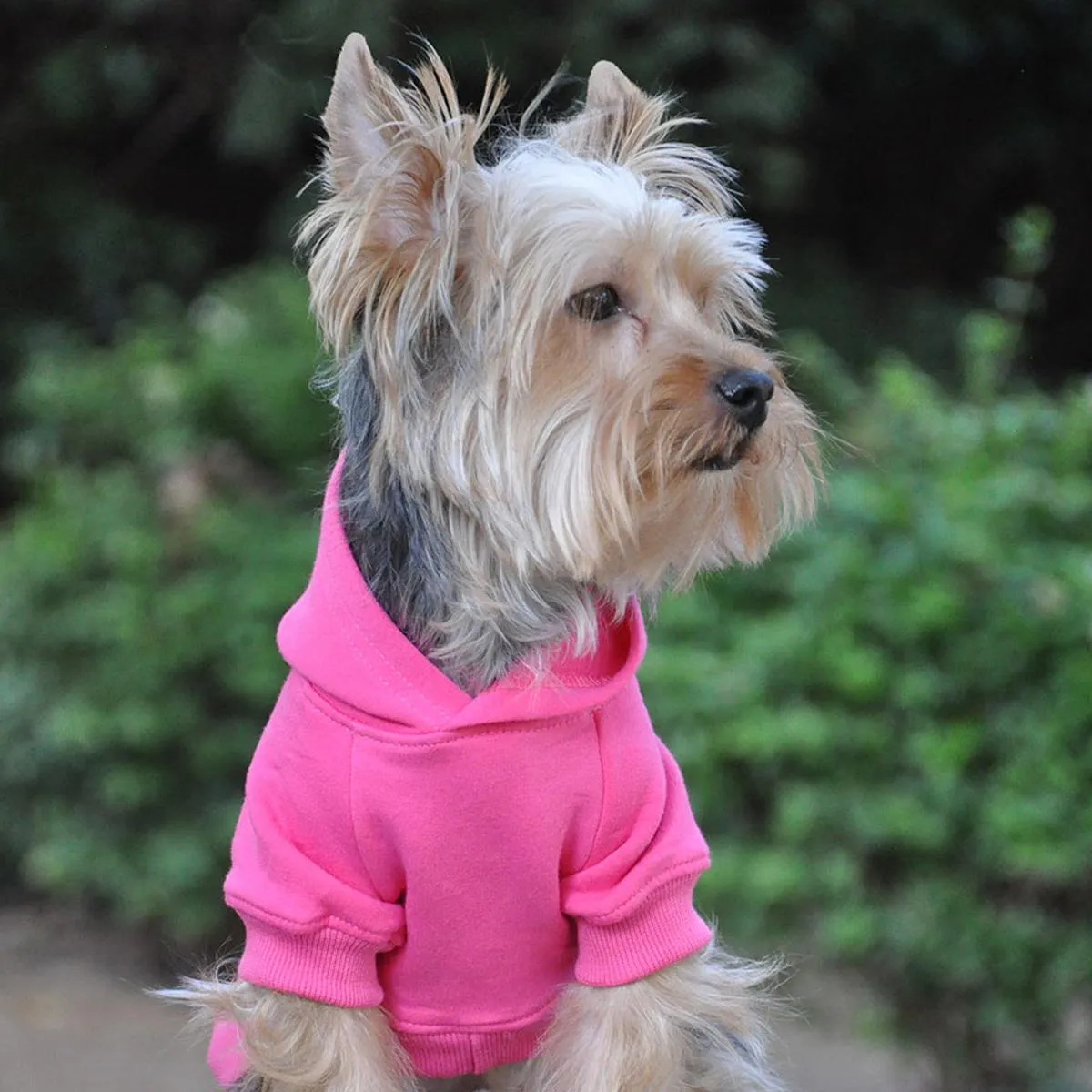 Flex-Fit Hoodie | Pink