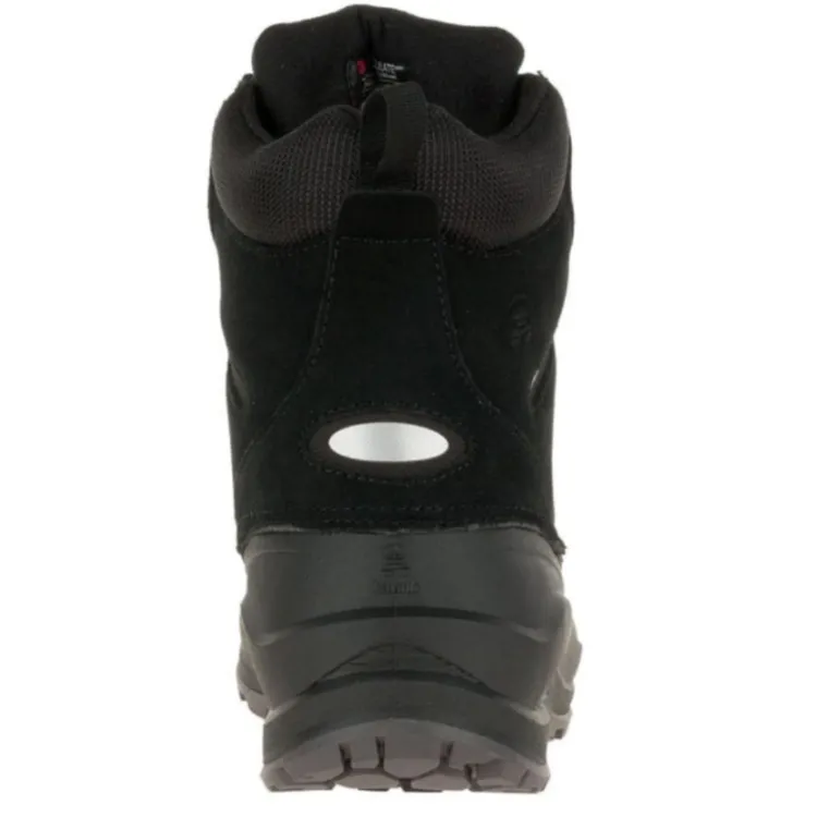 Labrador Black