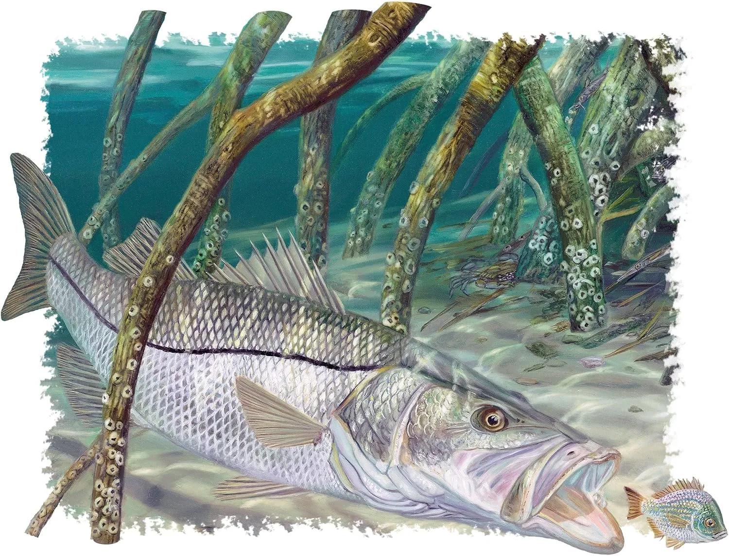 Skiff Life Florida Shirt Snook - Mangrove Snook Fishing Shirts for Men